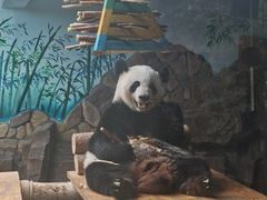 -济南野生动物世界