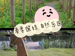 -前小桔亲子创意农场·草莓采摘·露营烧烤
