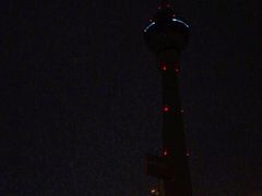 -太平洋海底世界博览馆·展览厅