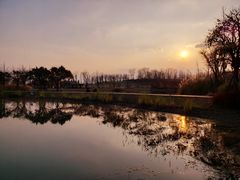 -白鹭湾湿地公园