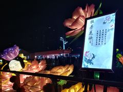 -曹州牡丹园