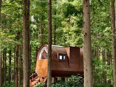 -黄海国家森林公园