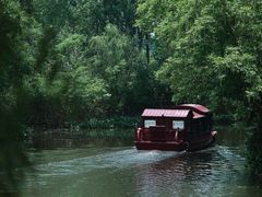 -溱湖国家湿地公园