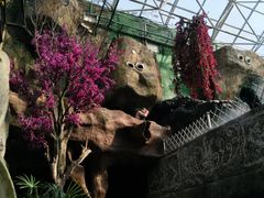 -陆地游轮吉林神农温泉