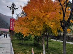-保利·新九寨宾馆