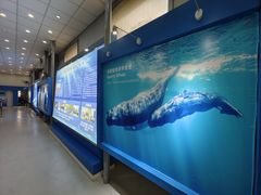 -上海海洋大学鱼文化博物馆(军工路校区)
