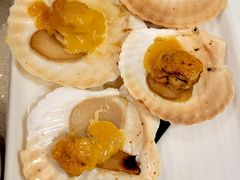 -黑松白鹿(新活馆店)