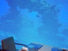-海棠湾洲际-涛·海底餐厅·美人鱼·自助餐·海底隧道