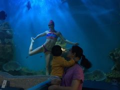 -瑞德姆美人鱼海底演艺主题餐厅(亚龙湾店)