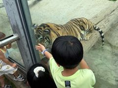 -西霞口神雕山野生动物世界