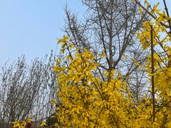 -元大都城垣遗址公园