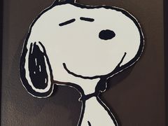 -史努比缤纷世界