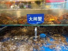 -亚马逊蒸汽活海鲜自助(LCM置汇旭辉广场店)