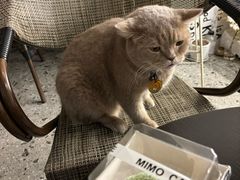 -MIMO CAFE(沙头角店)