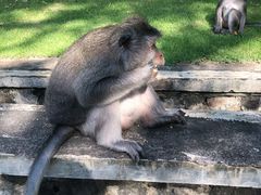 -乌鲁瓦图寺