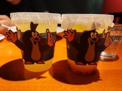 -布拉格餐厅· 中欧捷克菜(全国首店)