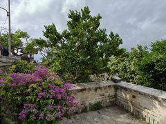 -乌鲁瓦图寺
