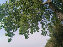 -汉长安城未央宫国家考古遗址公园