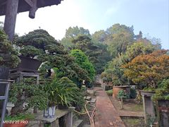 -南山植物园