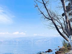 -西昌邛海湿地