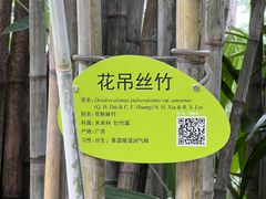 -晓港公园