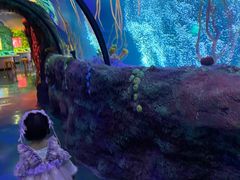 -沈阳海洋探索中心