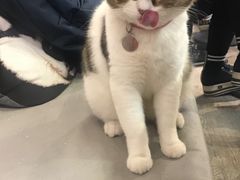 -小时光咖啡馆(开森度假森林店)