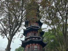 -上海佘山国家森林公园西佘山园