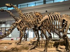 -自贡恐龙博物馆