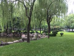 -唐城墙遗址公园