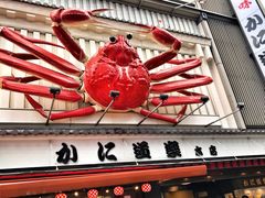-蟹道乐(道顿堀本店)