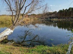 -捞渔河湿地公园
