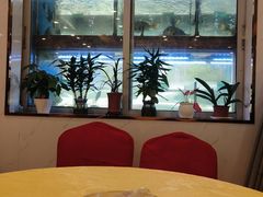 -龙溪海鲜酒家(溪涌店)