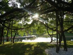 -颐和澜悦欢乐水世界(原颐和温泉城)