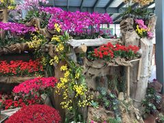 -南通洲际绿博园