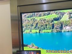 -河坝烧烤串城(金达莱店)