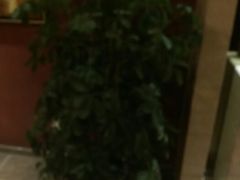 android_upload_pic-老东营·东营菜(西四路店)