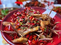 -周姑娘不等味·牛羊肉火锅·螃蟹罗氏虾·烤鱼烤串(高邮店)