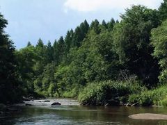 -峡谷浮石林景区