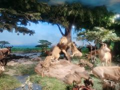 -国家自然博物馆