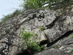 -秦岭终南山世界地质公园翠华山景区