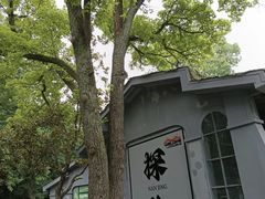 -WeLope紫金山探险公园