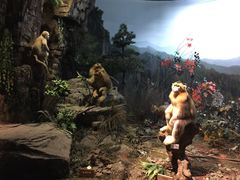 -陕西自然博物馆