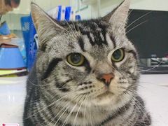 -贝利宠物医院·骨科·眼科·肿瘤转诊中心(南坪诊疗中心)