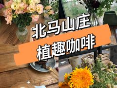 -北马山庄植趣咖啡