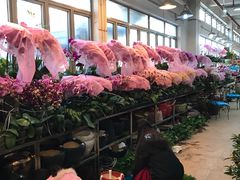 -双季花艺园艺市场(浦东店)
