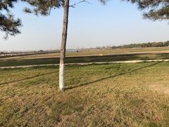 -汉长安城未央宫国家考古遗址公园