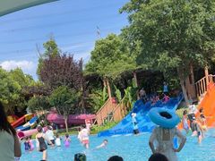 -苏州乐园森林水世界