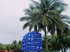 -海南分界洲岛旅游区