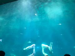 -福州罗源湾海洋世界旅游区